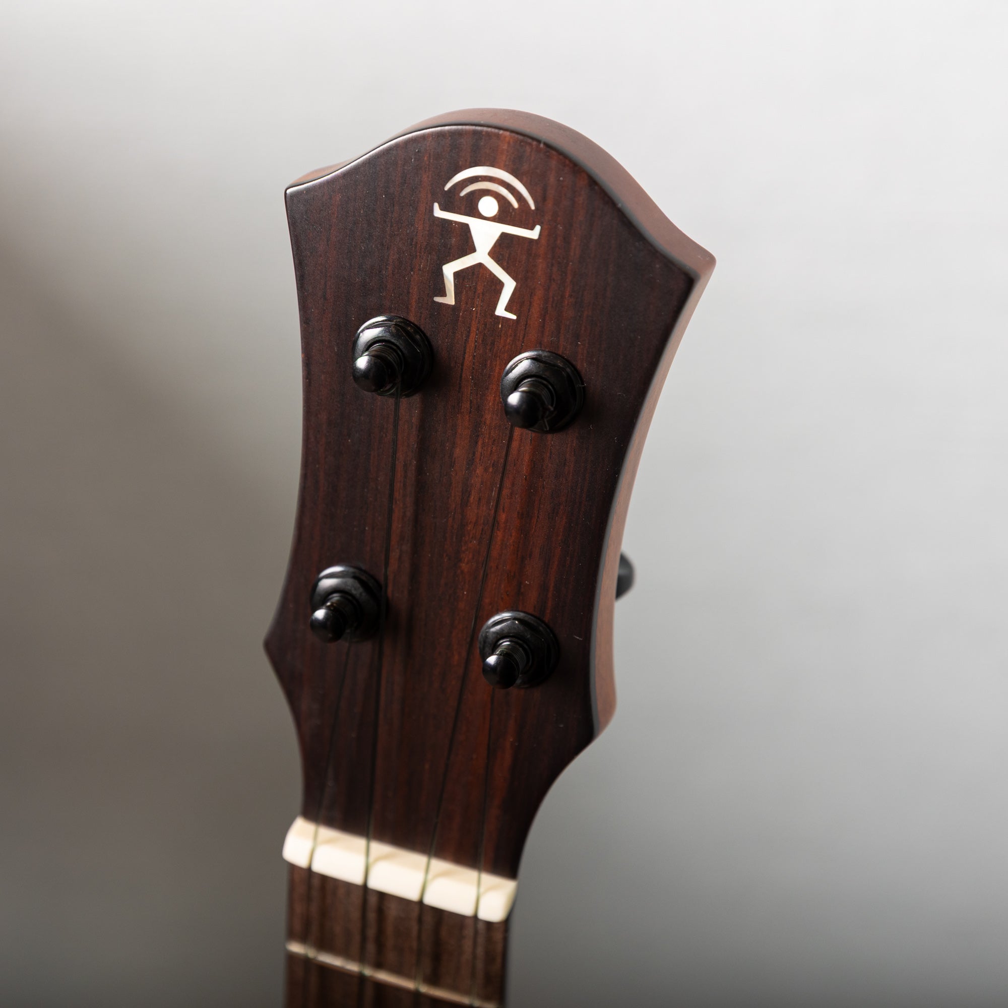 aNueNue aNN-UC110 – Ukulele Bird （株式会社ラストギター）
