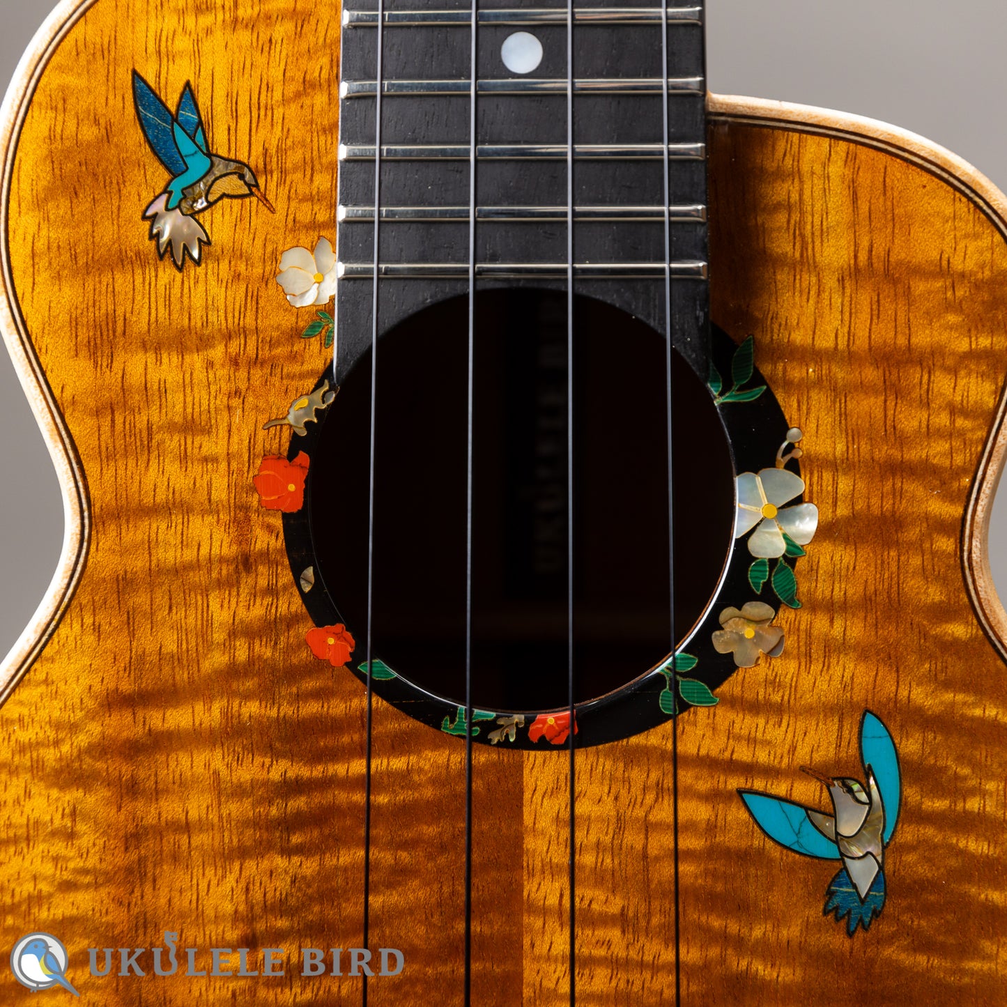 aNueNue aNN-US3K-UB 5th Anniversary  LTD