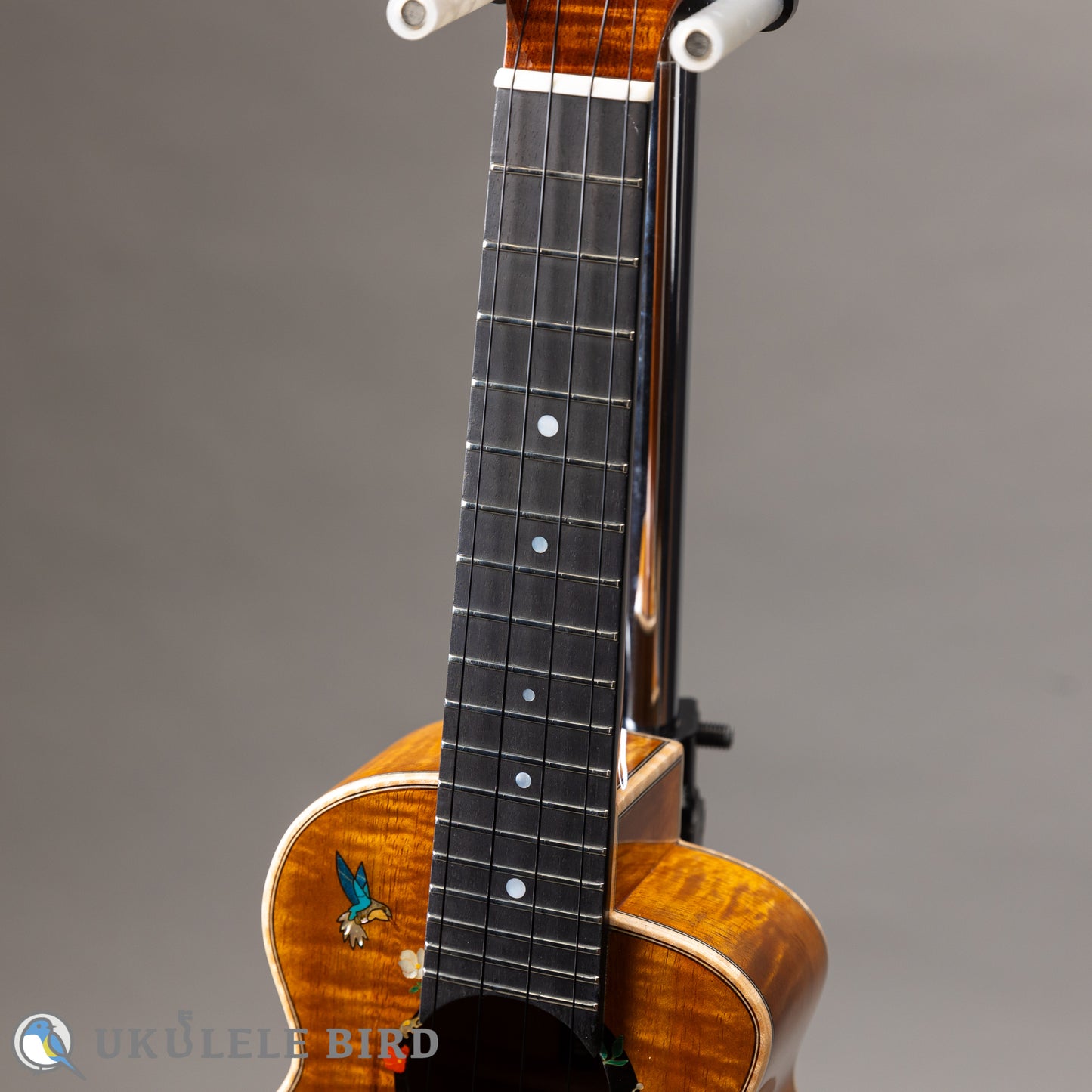 aNueNue aNN-US3K-UB 5th Anniversary  LTD