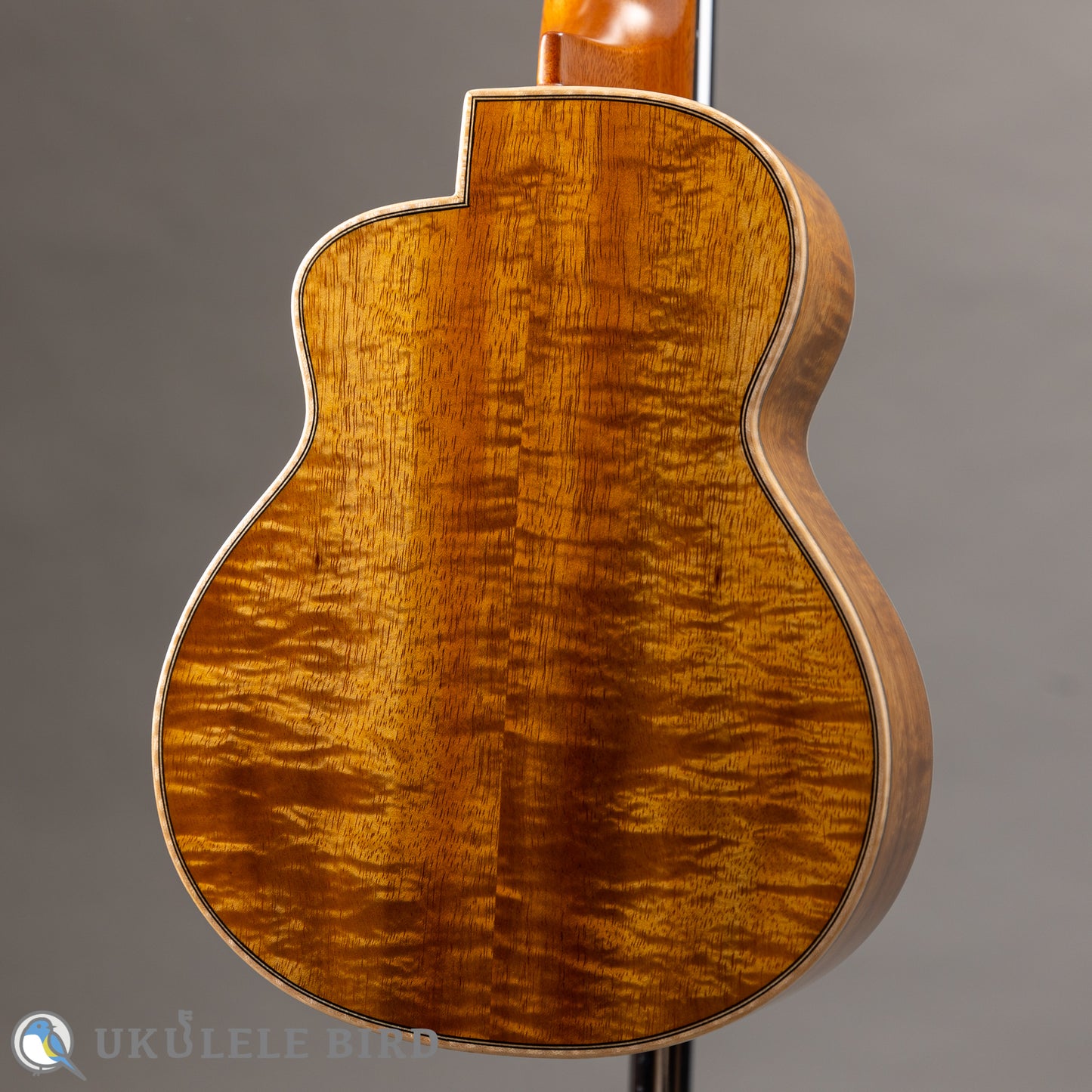 aNueNue aNN-US3K-UB 5th Anniversary  LTD