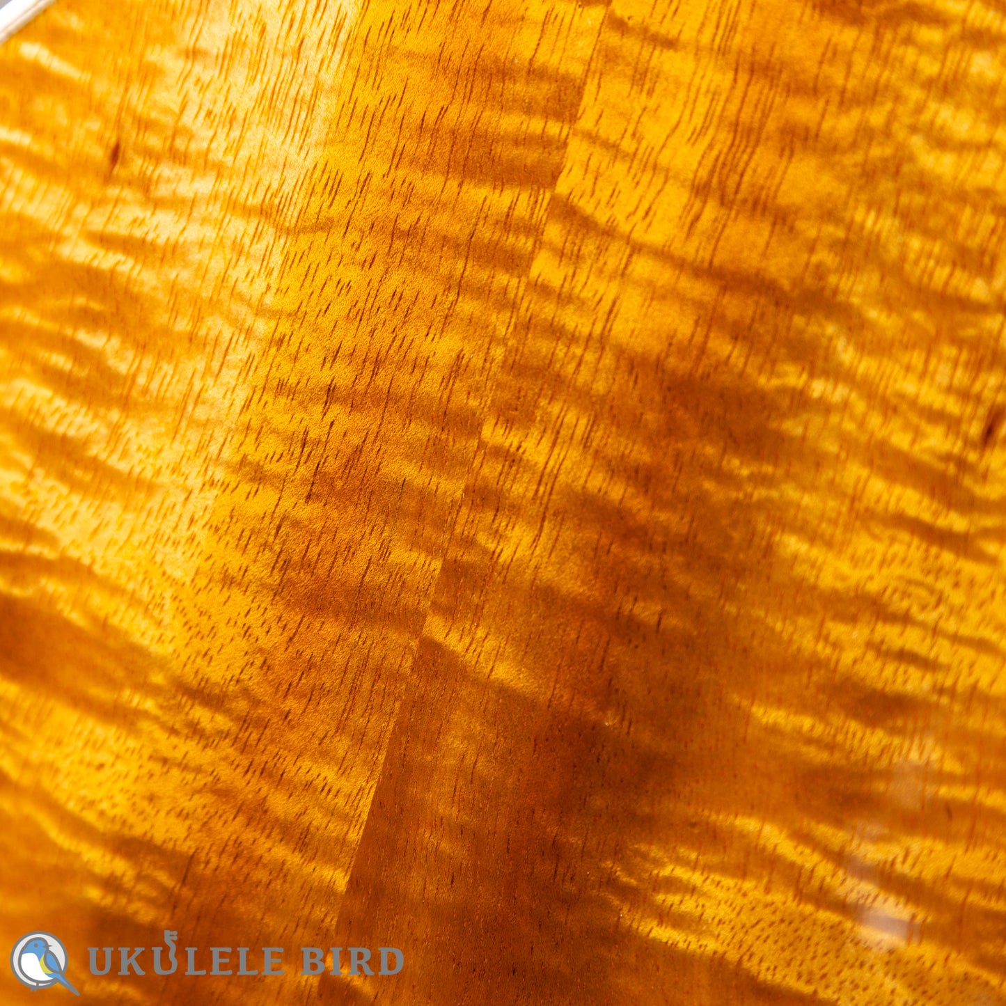 aNueNue aNN-US3K-UB 5th Anniversary  LTD