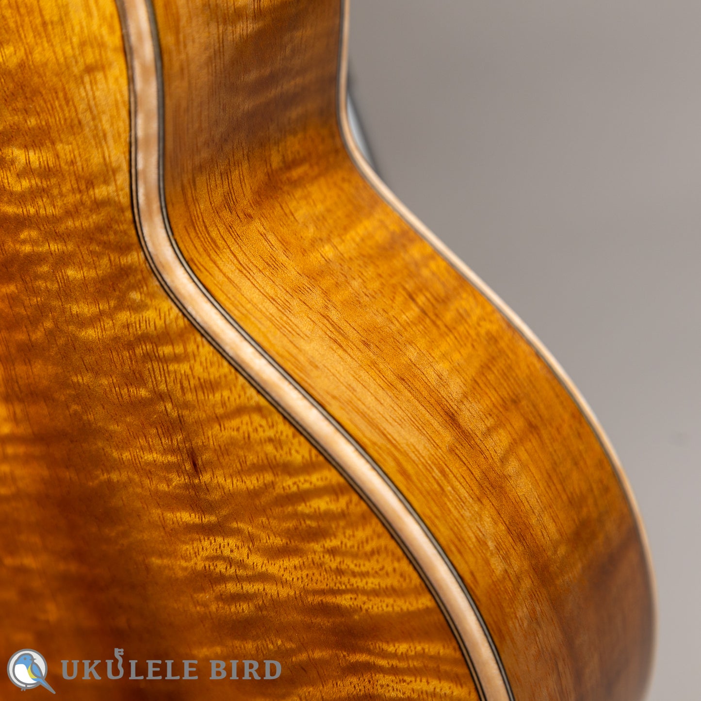 aNueNue aNN-US3K-UB 5th Anniversary  LTD