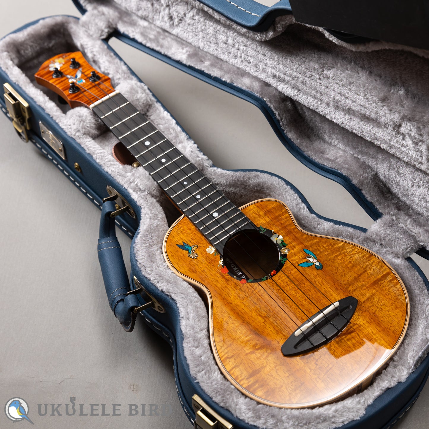 aNueNue aNN-US3K-UB 5th Anniversary  LTD