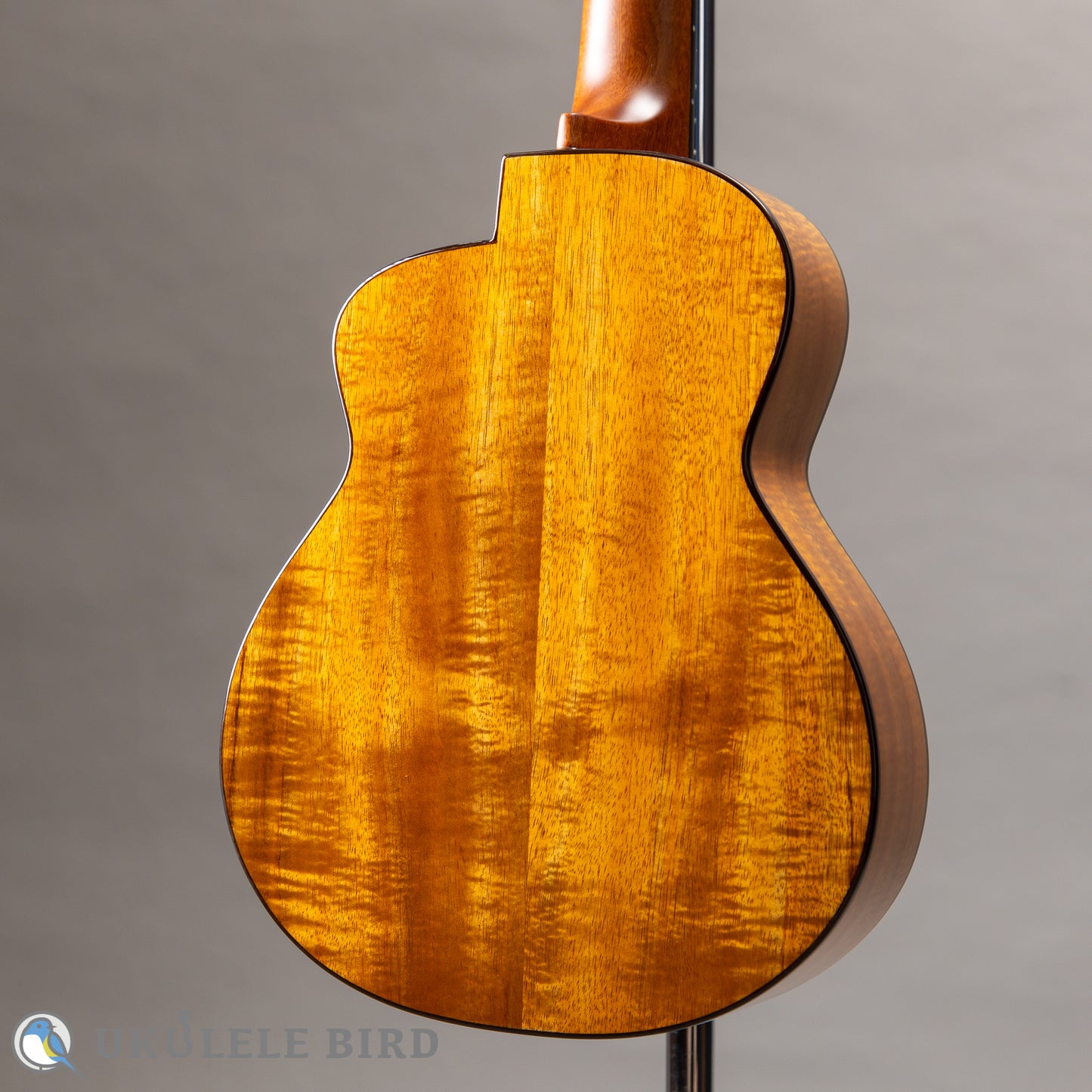aNueNue aNN-UT3K-UBⅡ UKULELE BIRD LTD
