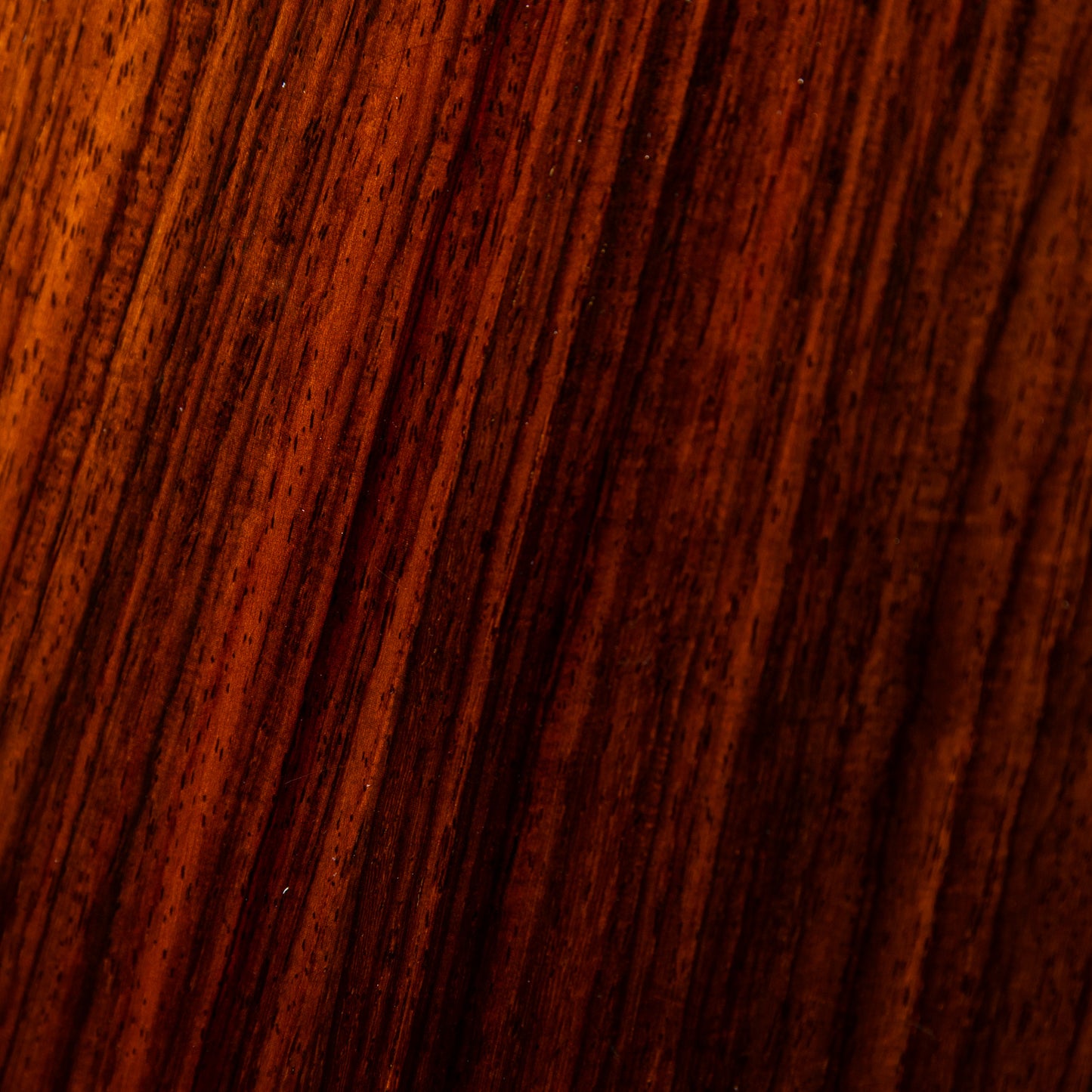 aNueNue aNN-UC200HB w/PU 2023年製 USED