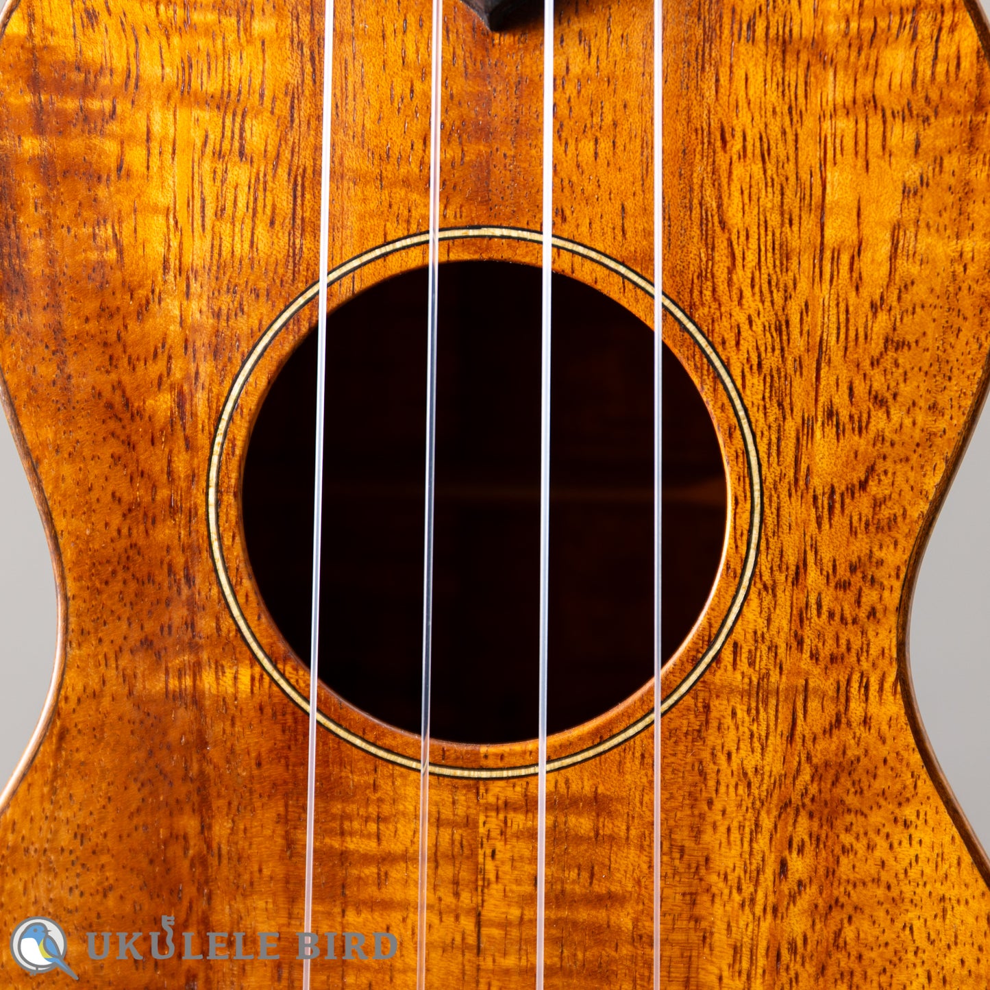 da h Ukulele Soprano 14f std.