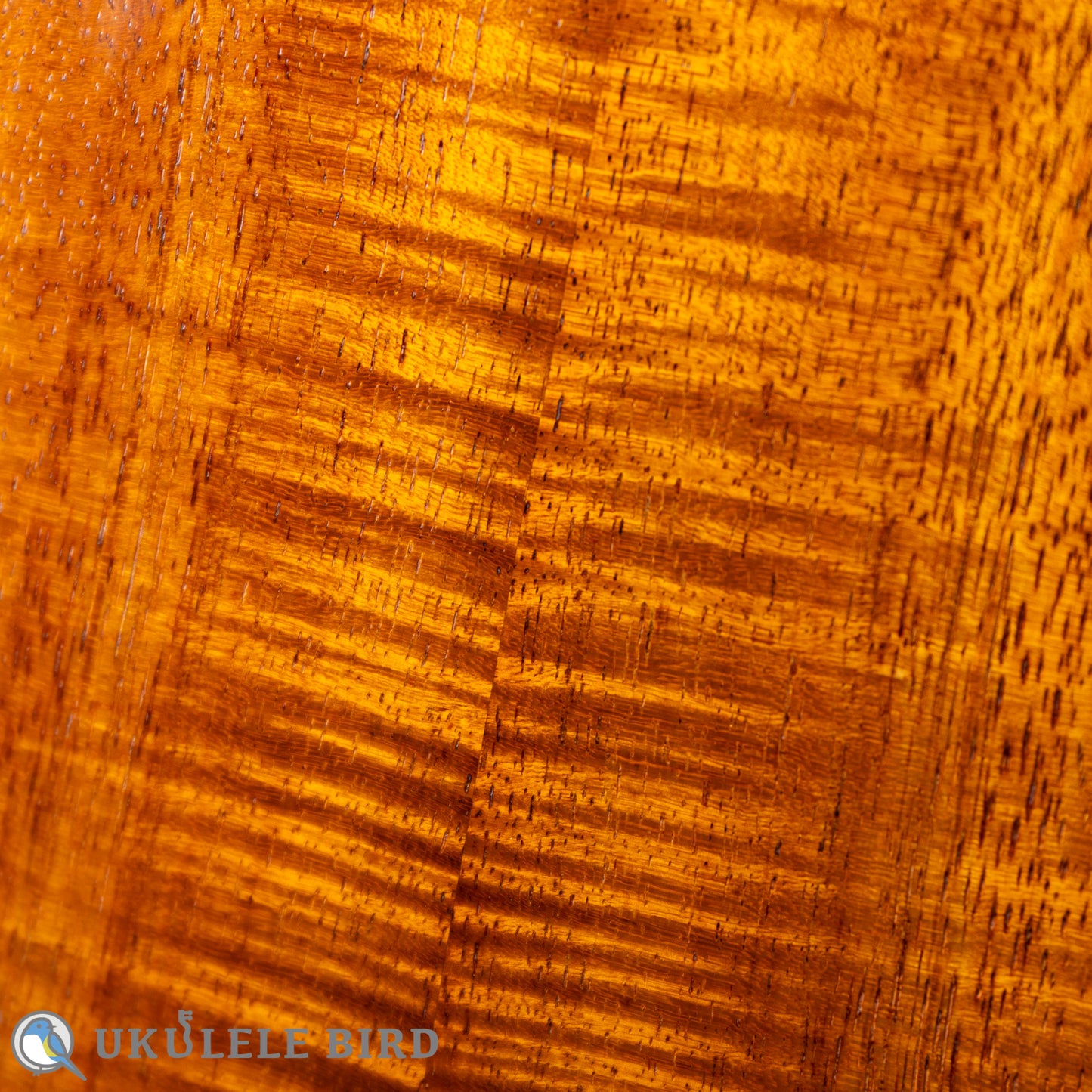 da h Ukulele Soprano 14f std.