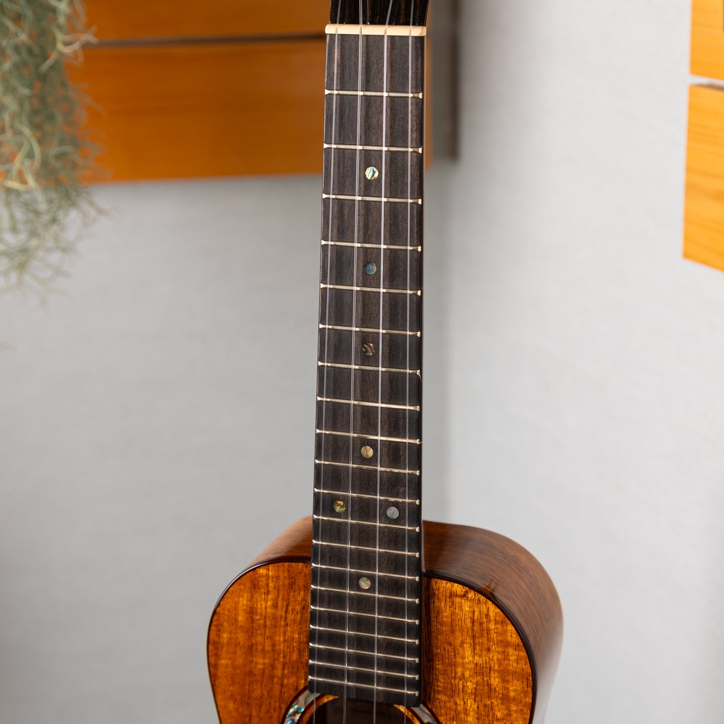Kanileʻa KPA-C/CORE