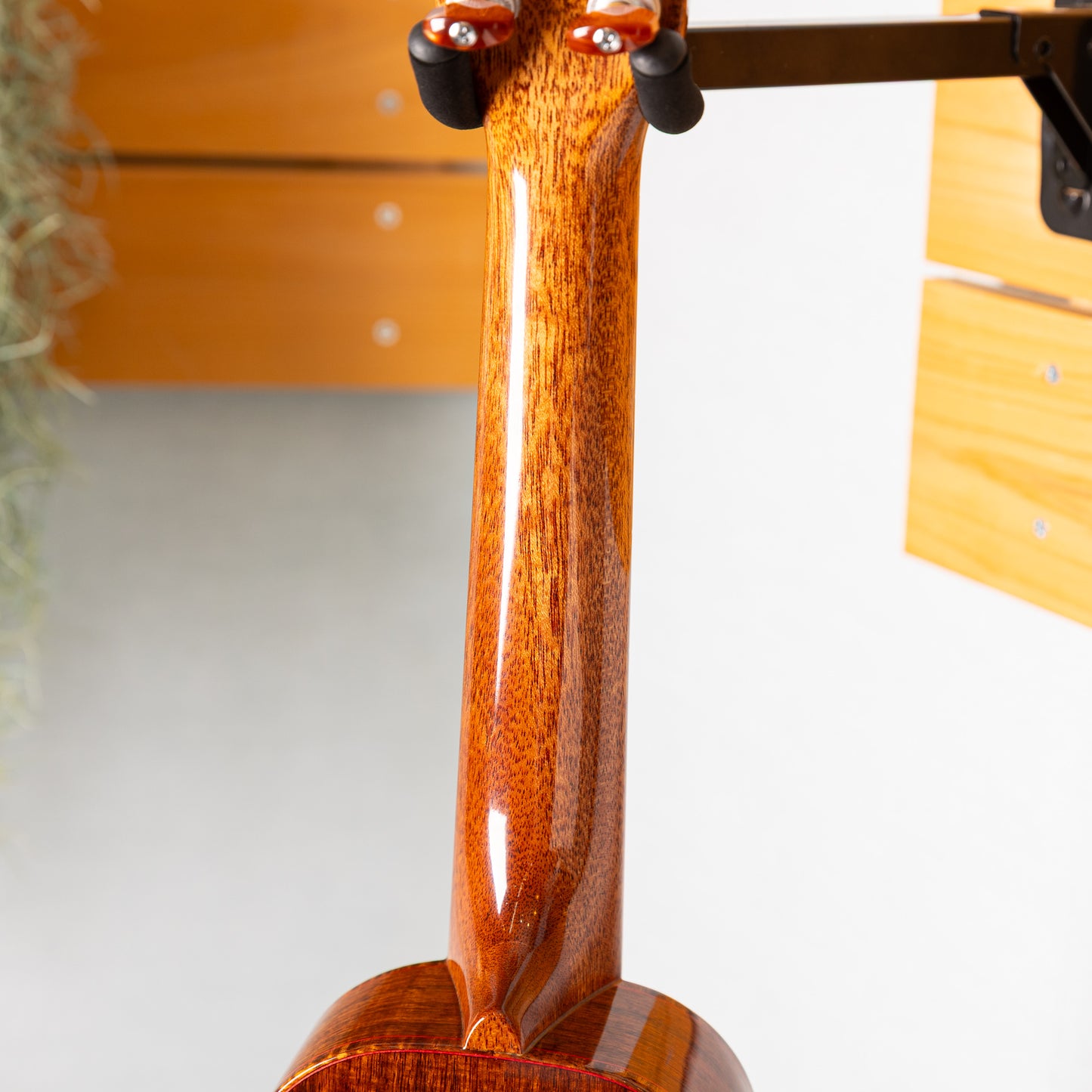 ki-bo-ukulele S4-RWGN-D