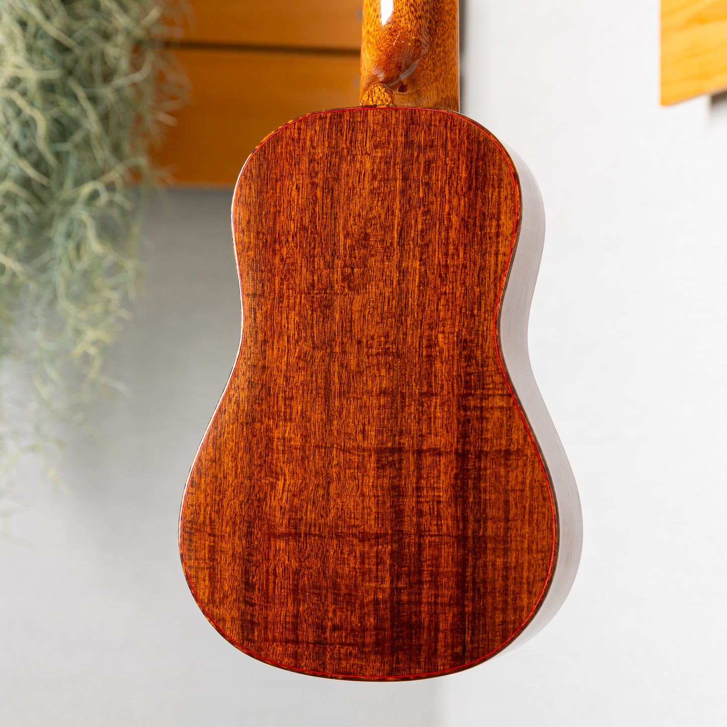 ki-bo-ukulele S4-RWGN-D