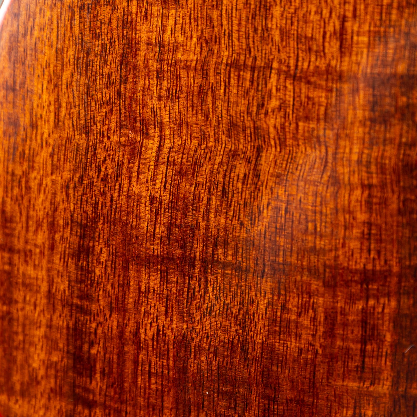 ki-bo-ukulele S4-RWGN-D